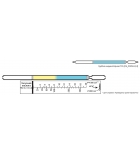 Индикаторная трубка (ИТ) уксусная кислота 2-250мг/м3